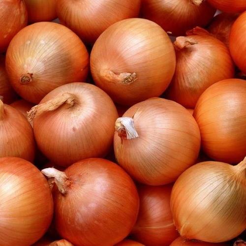 /storage/photos/30/fresh-brown-onion-1511952426-986499.jpeg